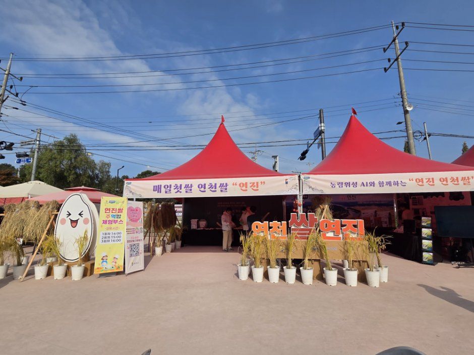 연천율무축제 이미지 8